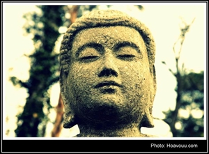 Bộ hình ảnh 
