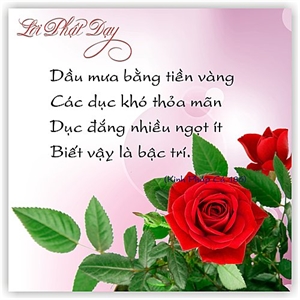 Kinh Pháp Cú qua hình bông hoa dễ thương