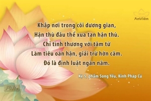 Lời Phật dạy - kinh Pháp Cú trên truyền hình An Viên