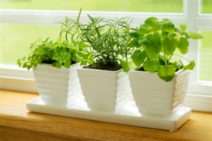 Đơn giản hóa cuộc sống