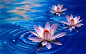 Hương đức hạnh