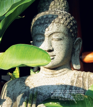 “Yêu thương lấp lánh tinh thần Phật Giáo trong “Viết cho con” của Huỳnh Tam Giang”