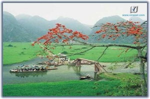 Ứng xử cách nào?