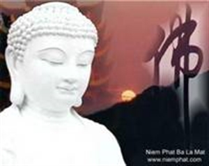 Công dụng của Giới đức