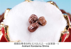 Xá lợi - Một bí ẩn chưa được khám phá