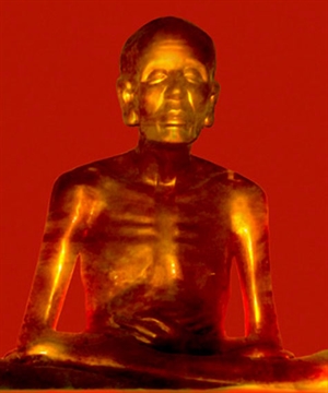 Tuệ Trung Thương Sĩ