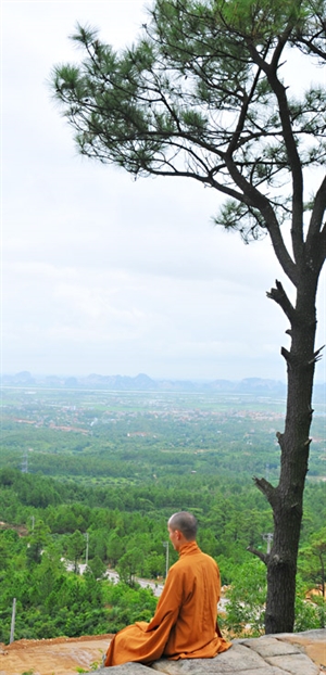 Mầu nhiệm của Tâm Định Tuệ
