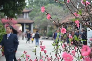 Hình ảnh: Xuân Tảo Sách 2014