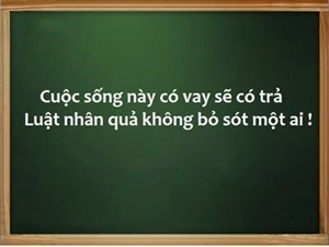 Câu Chuyện Nhân Quả