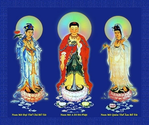 Tạp tu & chuyên tu