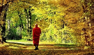 Tu hành không phải là buông bỏ, mà là để hiểu lẽ hoán đổi…