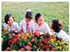 Giáo dục Việt Nam: những vấn đề căn bản