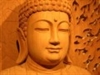 Tụng kinh niệm Phật mà tâm còn tán loạn có được lợi ích gì không?