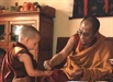 Kinh nghiệm Niết Bàn của thiếu niên: Quan điểm của đạo Phật về giáo dục tuổi trẻ