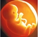 Phật giáo và vấn đề phá thai: Những tranh luận đạo đức