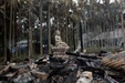 Ân xá Quốc tế thúc giục Bangladesh xử lý nghiêm những phần tử tấn công Phật tử
