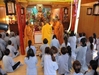 Kiều bào Việt 'nương náu' Phật Pháp để ấm hơi quê nhà