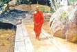 Meditation – key to understanding the Dhamma