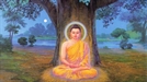 15. Đức Bồ Tát Chứng Đắc Tam Minh, Trở Thành Đức Phật Chánh Đẳng Giác