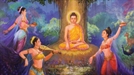 16. Đức Phật An Hưởng Pháp Vị Giải Thoát Niết Bàn