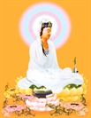 Các Học Phái Phật Giáo