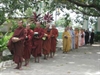 以佛教倫理學觀點看緬甸的袈裟革命
