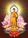 Ảnh Hưởng Phật Giáo Tới Dân Tộc Việt Nam