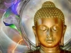 Các lời dạy căn bản của Đức Phật về hình phạt tử hình