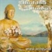 Album: Buddha And Bonsai Vol.5 - Oliver Shanti & Friends