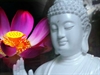 Video: Đức Phật trong tâm khảm và trái tim