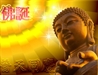 Nhân Đại lễ kỷ niệm ngày Đức Phật đản sinh, suy niệm về giá trị của tình thương và thái độ học Phật