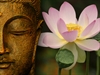 Phật giáo và vận mệnh