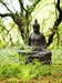 Đạo Phật với môi trường thiên nhiên