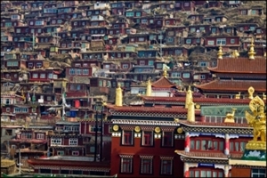 Học viện Phật giáo Larung Gar ở Tây Tạng