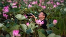 Sacred Lotus Flowers in Thailand Blossom for the First Time in a Decade