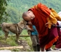 The Buddhist View of Kindness