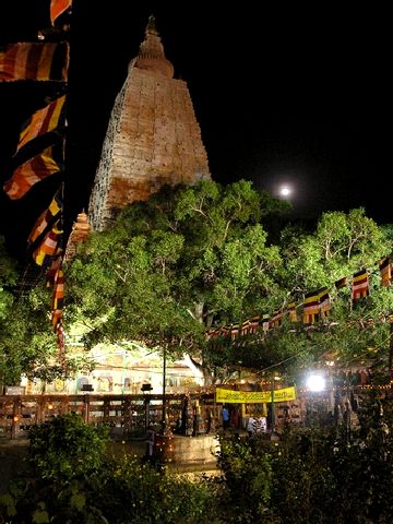 BodhiTree