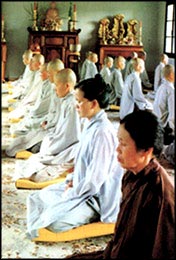 Vietnamese Nuns 
Meditating