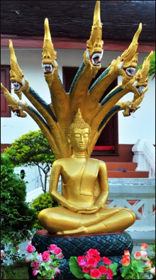 duongdinhhung_buddha10.jpg