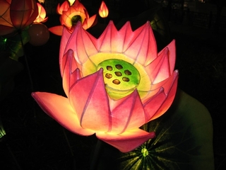 ImageShack, free image hosting, free video hosting, image hosting, video hosting, photo image hosting site, video hosting site