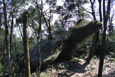 Những lý do để chinh phục Yên Tử từ phía Tây, Du lịch, Yên Tử, cụ rùa đá, cáp treo, chùa đồng, đỉnh núi