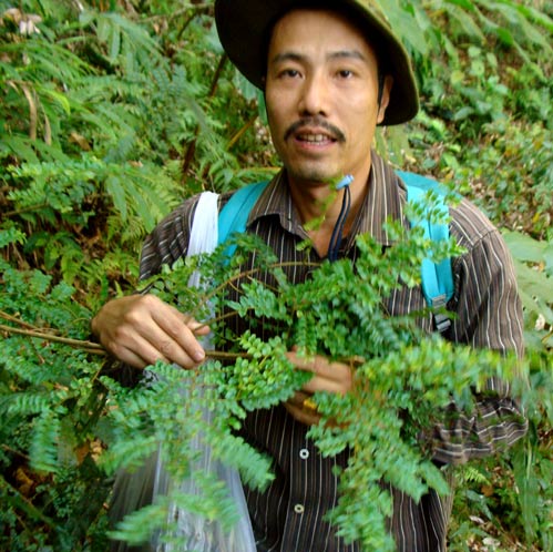 Người bí ẩn tặng “thần dược” chữa dạ dày