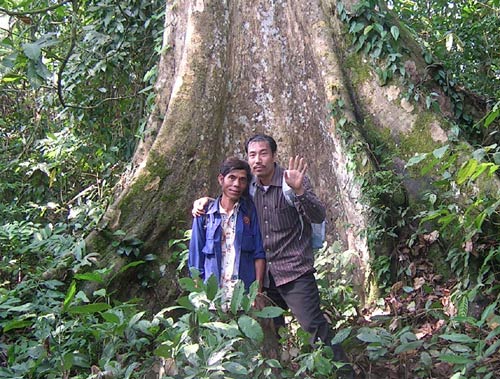 Người bỏ bệnh viện vào rừng tìm "thần dược" trị dạ dày