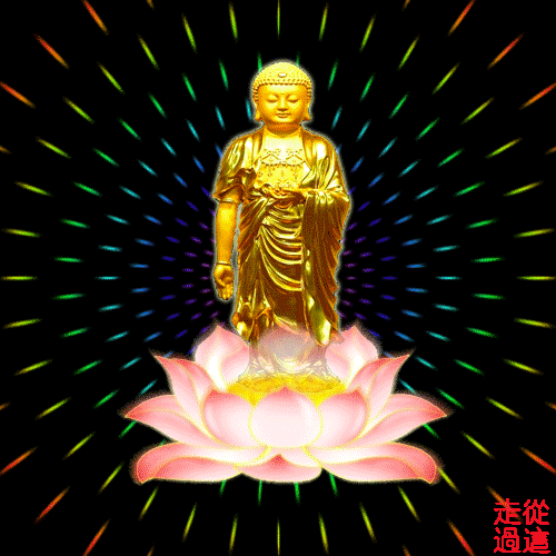 4dc4db4e_3ce70b69_dd7d9a54.gif