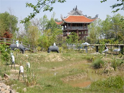 Chùa Việt trên đất  Nepal