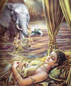 Queen Maya Devi dreamt of a white elephant