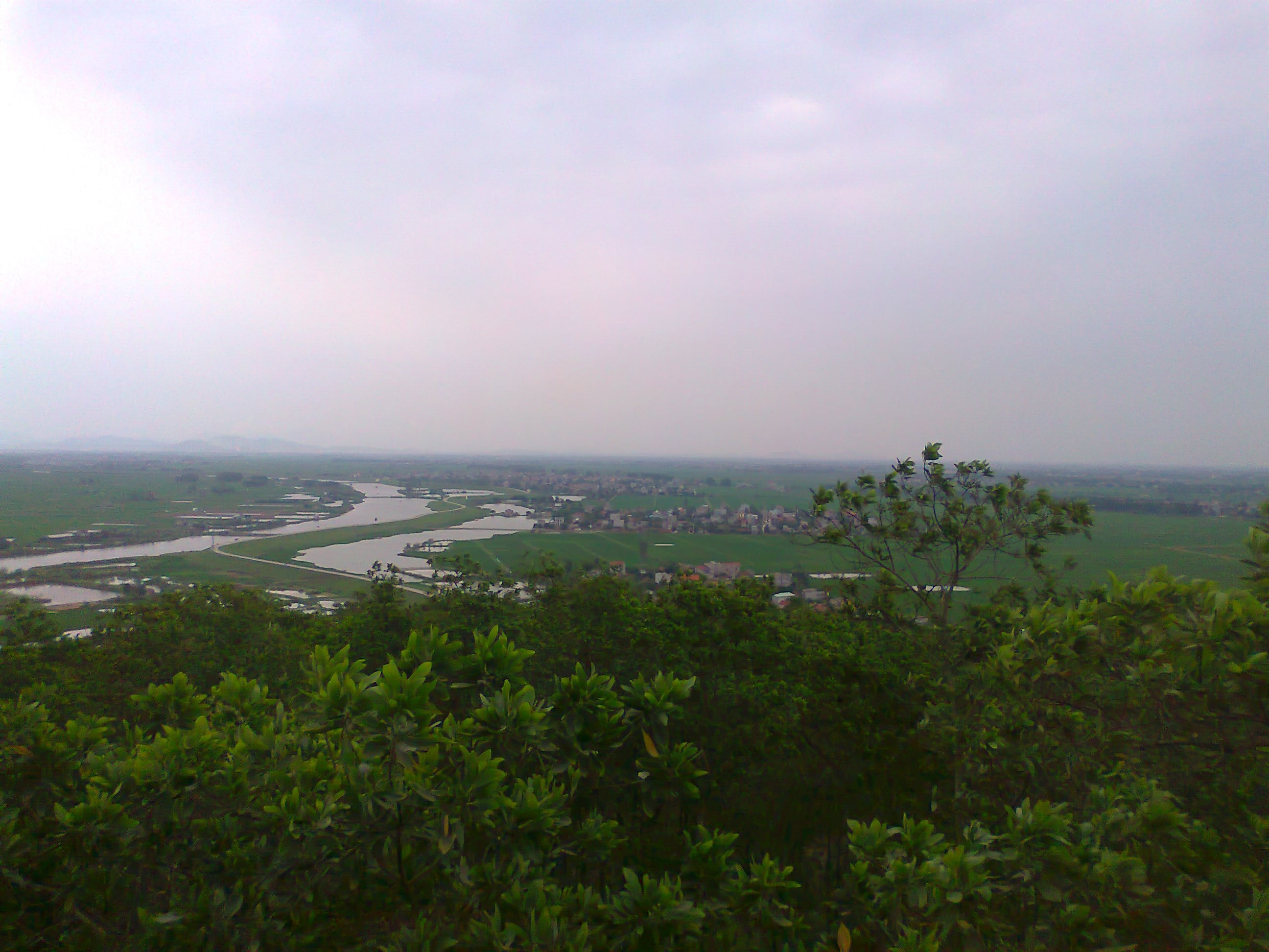 Hinh0346.jpg