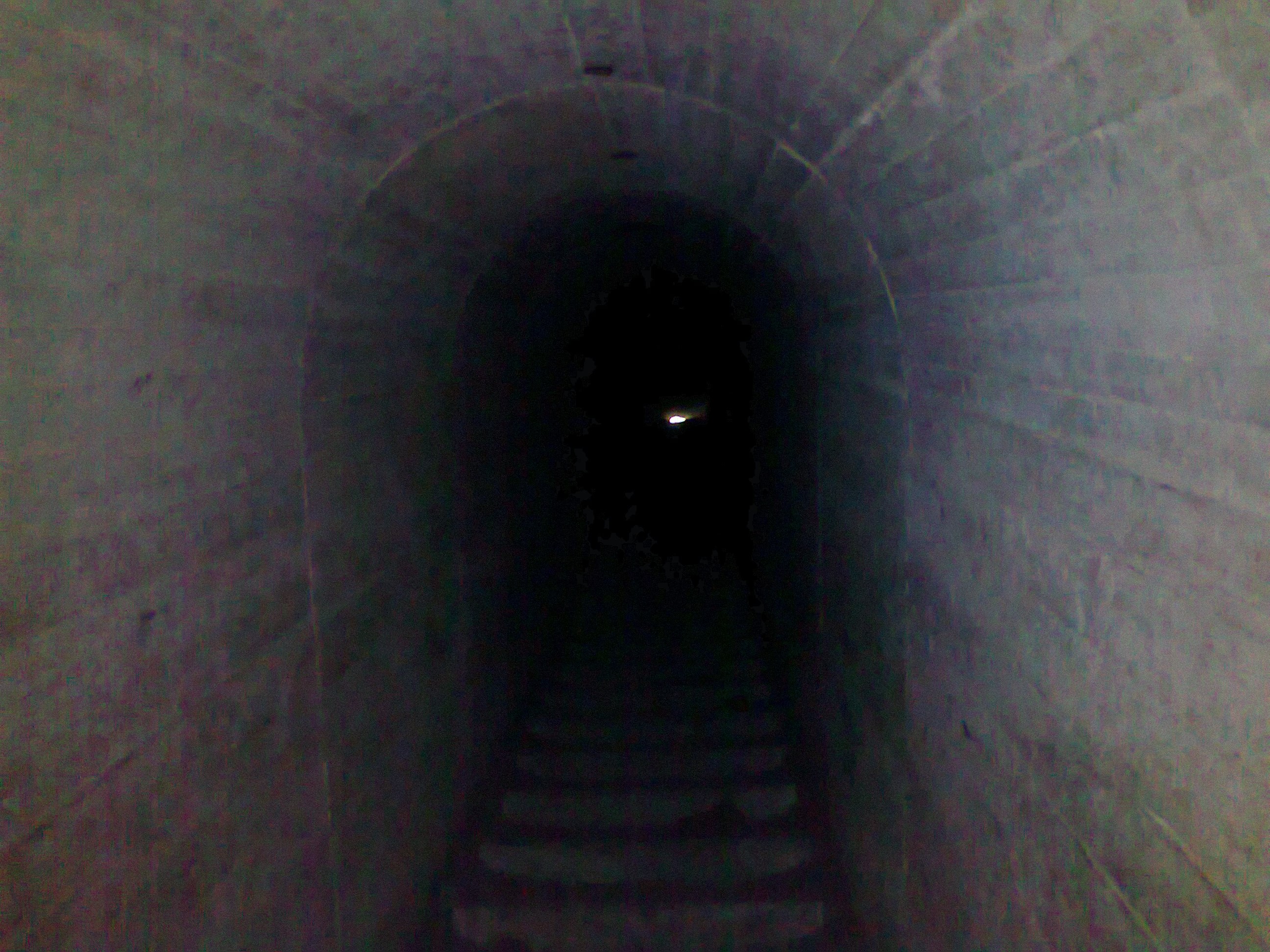 Hinh0353.jpg