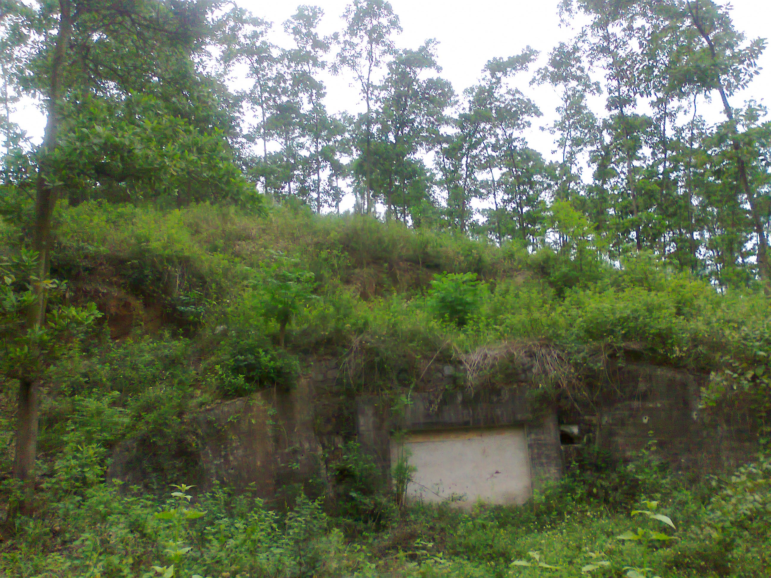 Hinh0361.jpg