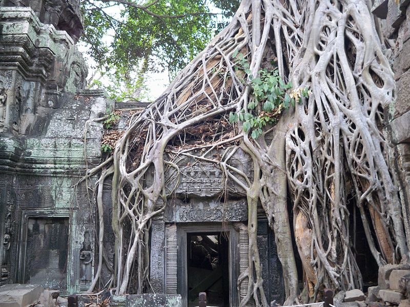 800px-Ta_Phrom_2.jpg